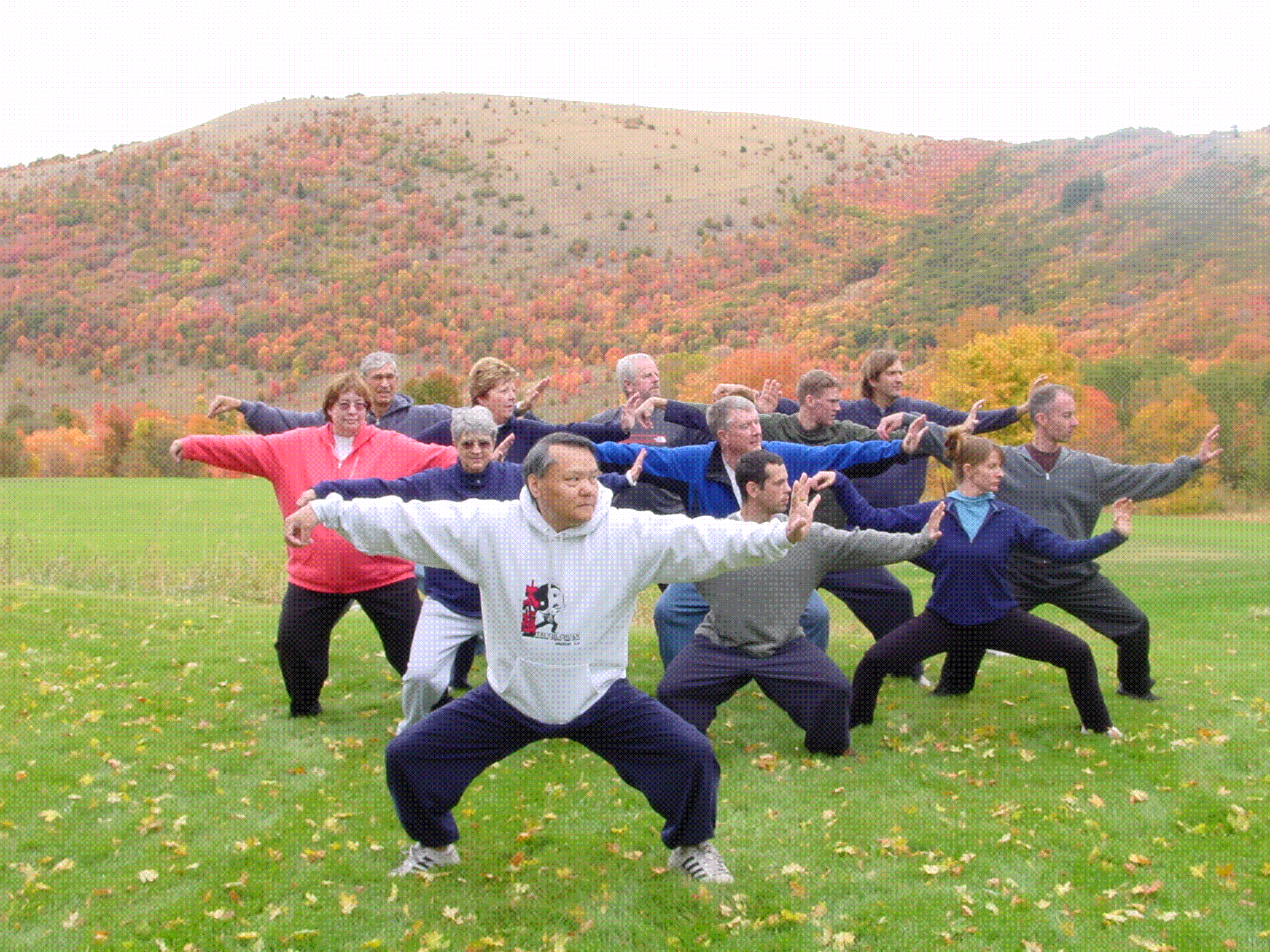 Tai Chi, Master Lu's Health Center, Salt Lake City, coordination, balance, strength, physical health, stress, anxiety, pain