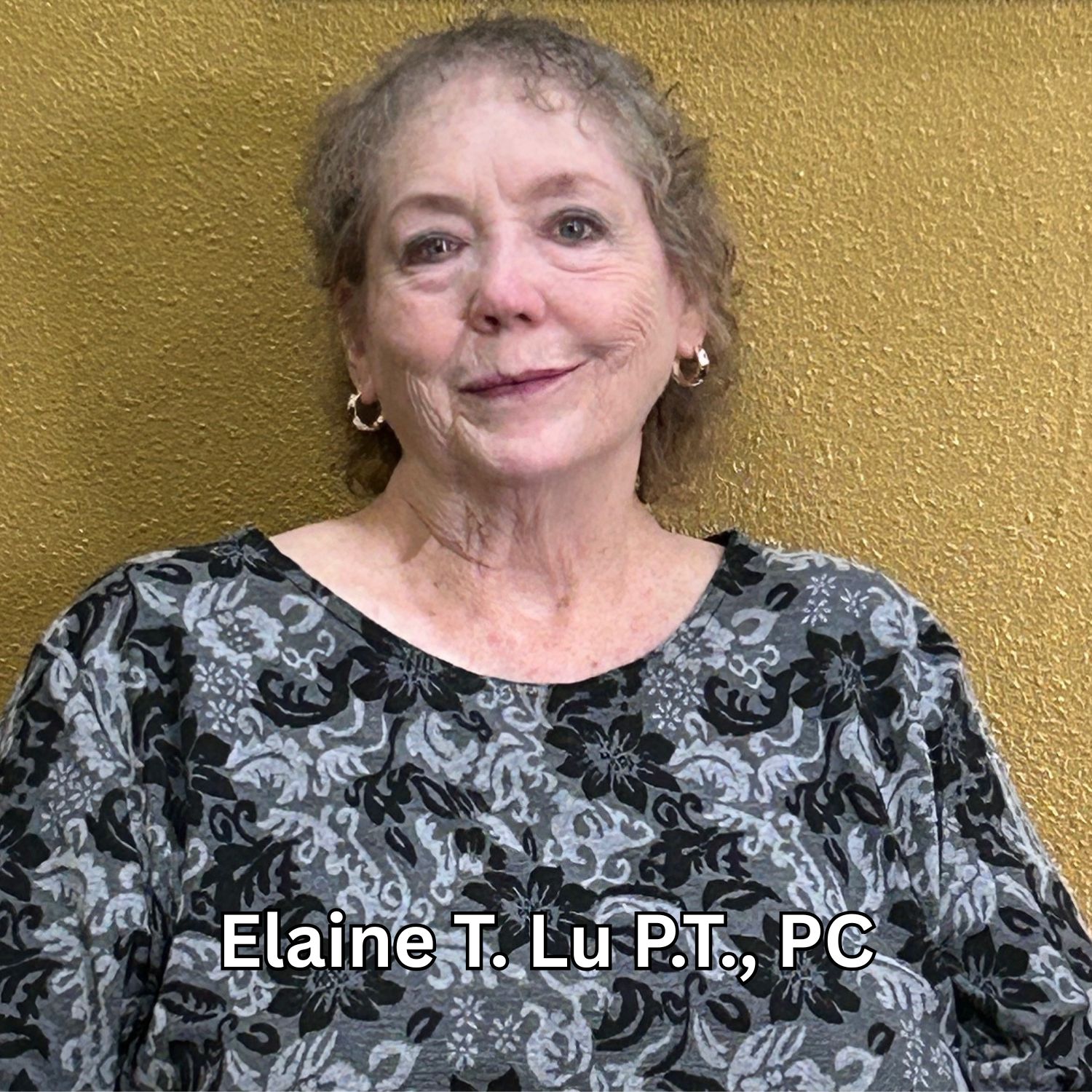 Elaine T. Lu P.T., PC