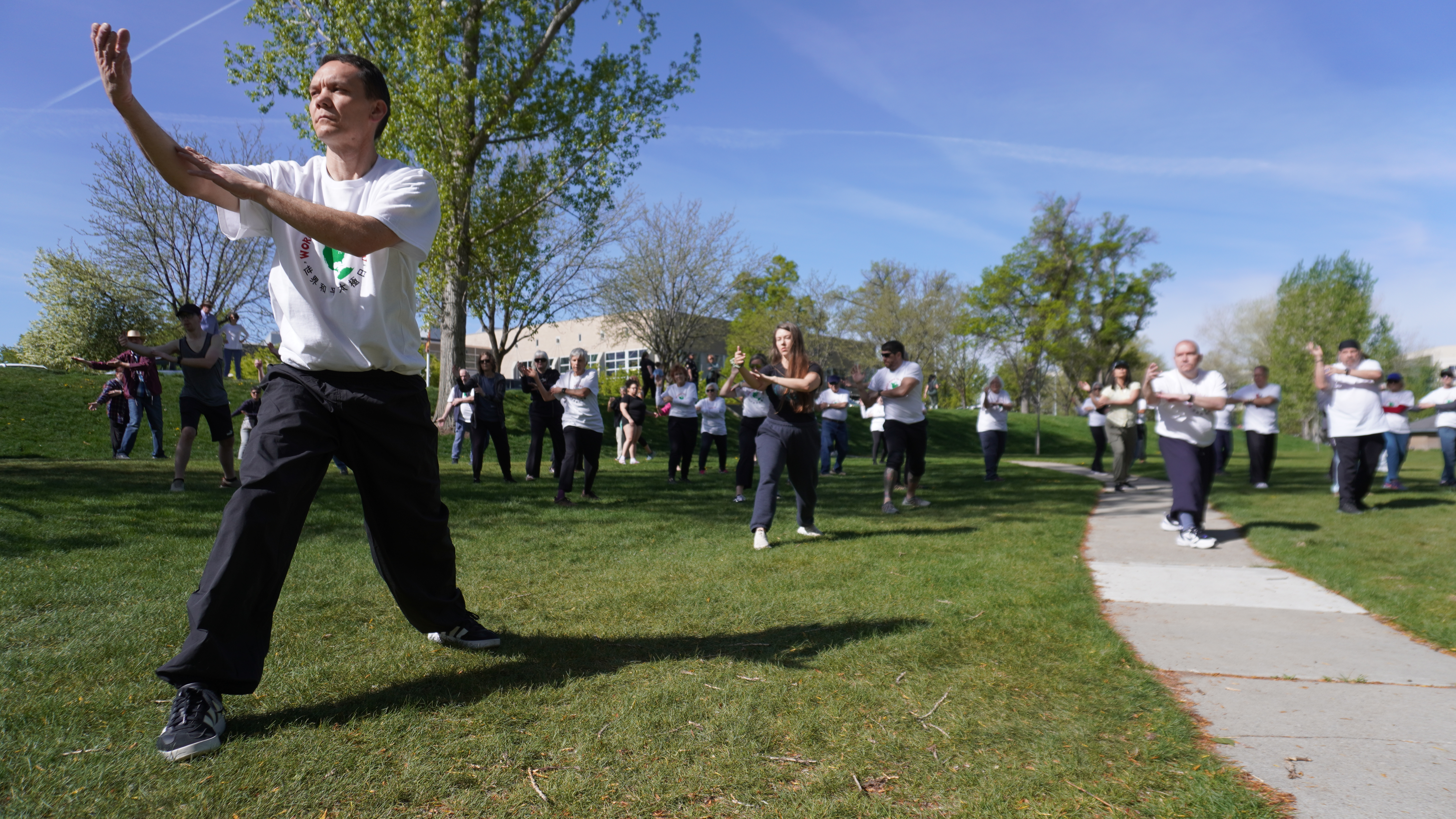 Tai Chi and Kung Fu 